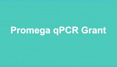 src-lp-proteintaghowto